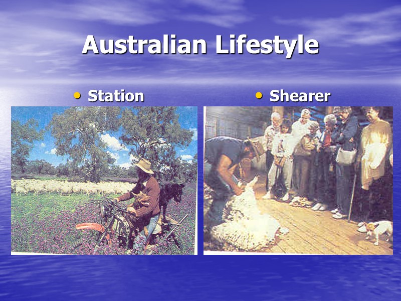 Australian Lifestyle Station Shearer